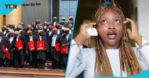 Supporters & critics: Debate erupts on X as Ama Governor's call to Bar denied