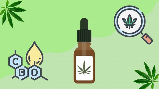 The Ultimate CBD 101 Guide: Everything You Need to Know (2024)