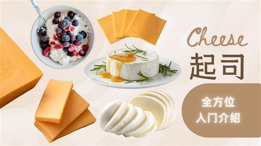芝士Cheese全方位立体式入门介绍🧀 马苏里拉 | 布里干酪 | 芒斯特奶酪 | 帕玛森奶酪 | 合成起司