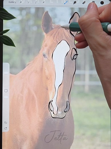 Cute Horse Line Art Drawing Tutorial