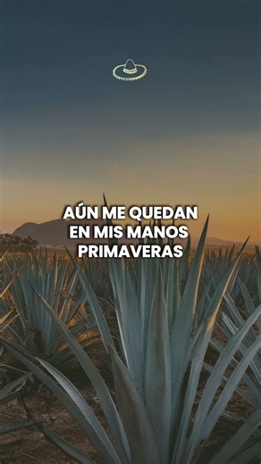 José José - La Nave Del Olvido (Letra/Lyrics) #shorts