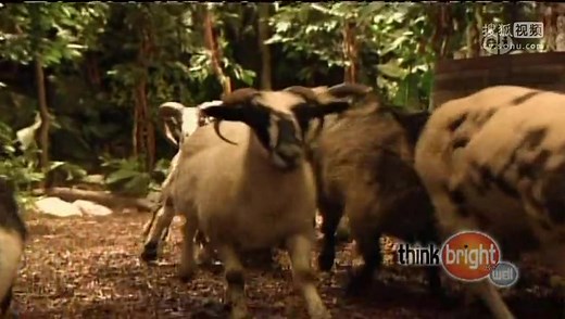 Zoboomafoo - Great Singers