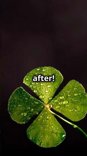 Secret Meanings of Green!" 🌿