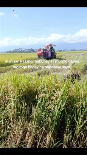 team madulas 👿👿 (@hitmanhitman71)’s videos with original sound - team madulas 👿👿