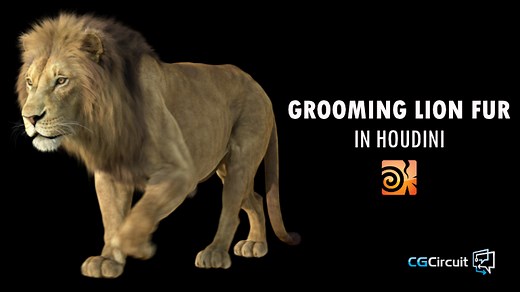 Grooming Lion Fur | SideFX