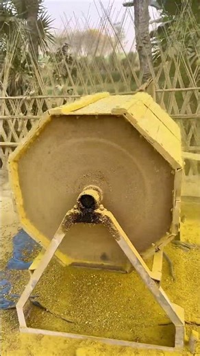 Amazing Turmeric Cleaning Machine in Action! 🌿