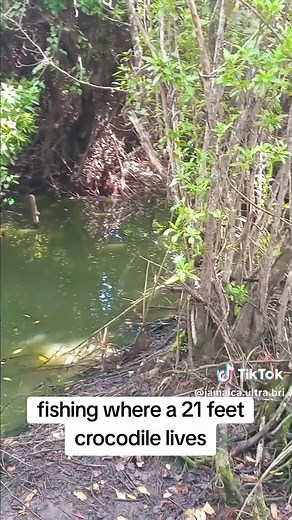 Crocodile Fishing Adventures in Jamaica
