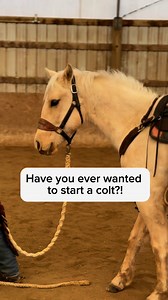 Sign up today, so you can say “me more cowboy than you” with confidence! 🤠 #coltstarting #horsetraining #horsemanship #enckstraining #cowboy #cowgirl #gelding #Palomino | Enck's Training LLC