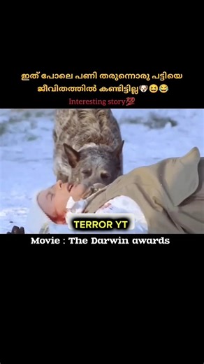 The darwin awards : the funny comedy action drama💯👍