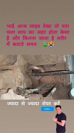 ✨Live cobra जहर✨!! | Pappu Paswan