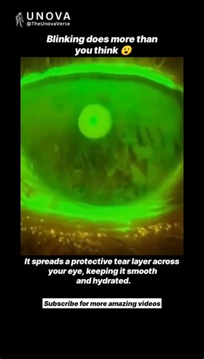 This Dye Reveals Something Invisible in Your Eye 😳👁️