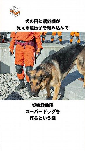 【倫理って大事なんだな…】科学者たちに道徳と倫理を捨てて実験ができるなら何をするかという雑学