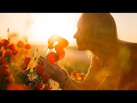 1 hora de música instrumental acústica relaxante para relaxamento, sono, estudo e trabalho