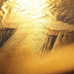 Asc – Loss (2024) » download by NewAlbumReleases.net