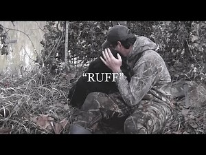 "Ruff" [2015 Original]
