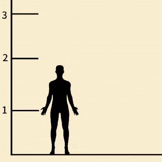 Giant Quetzalcoatlus: The Ultimate Prehistoric Creature