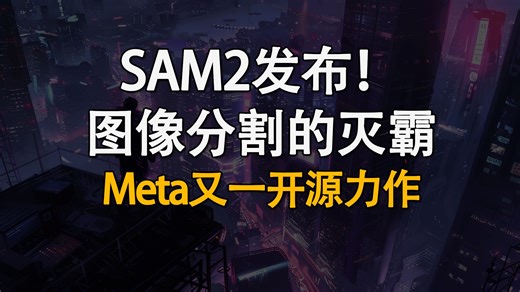 图像分割的灭霸 SAM 2！META开源又一力作！Segment Anything Model 2如何使用？