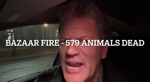 EPIC FAIL. 579 animals died in a fire at a Dallas bazaar and something just didn't add up to my partner in crime and fierce animal advocate, Shannon Greer Animal Advocate of North Texas So she requested all the public documents and discovered how none of this should have ever happened due to failures from at least 3 different agencies under the City of Dallas - City Hall . Here's the report by CBS News Texas and you'll hear from Shannon, and other vocal animal advocates Todd Stephen Smith and Je