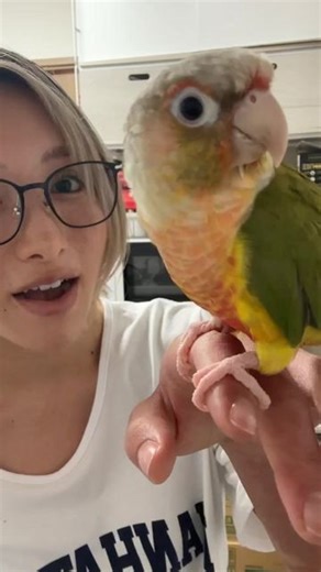 天野リリス | カレー | Instagram