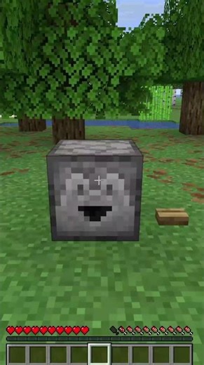 new minecraft minigame unlocked 🔥