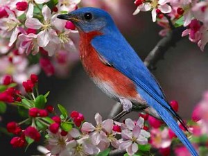 Fergie Glamorous Instrumental HQ