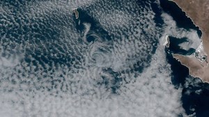 1.7K views · 62 reactions | A Kármán vortex street formed on Guadalupe Island last Saturday: https://www.ventusky.com/?p=27.79;-117.48;7&l=satellite&t=20200523/2150&w=off. This a wonderful example of how an island can affects the wind in large area. More information about this interesting event is here: https://en.wikipedia.org/wiki/K%C3%A1rm%C3%A1n_vortex_street | Ventusky | Facebook