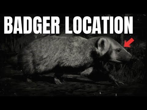 RDR2 American Badger Location | Animal Locations