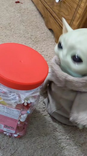 Raising BabyYoda on TikTok