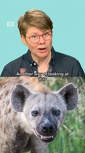 Female animals with WHAT?! 🤯 🎤: Dr Ann Jones #AnnJones #Animals #Science | ABC Science