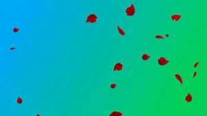 See what all the buzz is about. Follow along while Katie searches for love this summer by saying “The Bachelorette” in your Contour Remote this Monday at 8 pm ET. | Cox