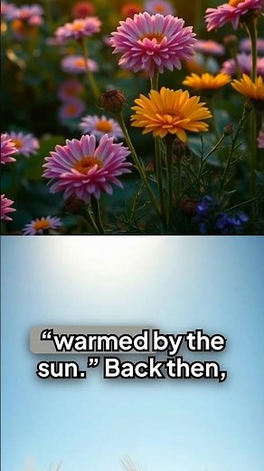 Apricity — The Warmth of the Sun in Winter | The Forgotten Word That Feels Like Hope