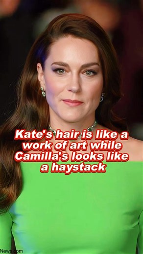 366K views · 1.5K reactions | Kate's hair is like a work of art while Camilla's looks like a haystack | Sister Wives Update | Facebook
