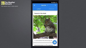 5.1K views · 54 reactions | COMING SOON: #Android users you'll soon...