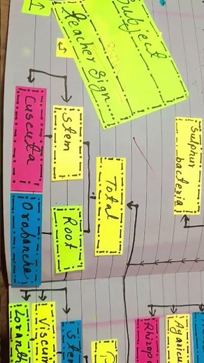 FLOW CHART. Modes of Nutrition in Plant
