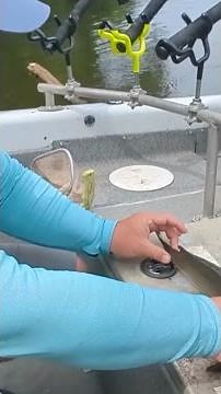 Handle Catfish the Right Way | Pro Tips from Joey Pounders