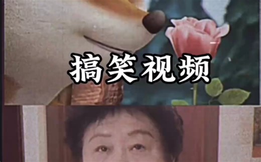 《蛤蟆怀孕了》