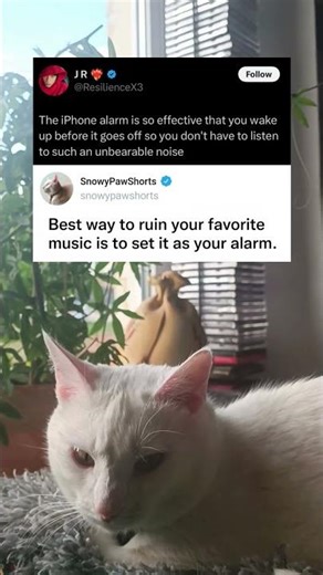 iPhone Alarm So Effective You Wake Up Before It Goes Off