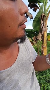 SCAMMER VS. ASER BEWARE OF SCAMMER: naay nanawag nako,niingon makadawat dw kog 15k from manny pacquiao 🤣🤣🤣..unya panguyoon dayon ang imong gcash # ky adto dw isend ...then mangayo sila sa OTP code ky mgsend mn na ang gcash nimo ug code if imo i.open ang gcash apps sa laing fon ..ang style ana nila i.open nila imo gcash sa ilaha cp kung ihatag nimo ang correct OTP code nila ma TY ang sod sa imong gcash...maong AWARE tang tanan..ayaw jud dayon ihatag ang inyong code..sa nanawag nako..SHOUT OUT 