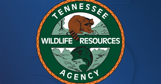 TWRA recovers body at Normandy Lake