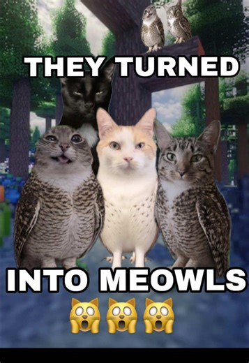 Funny Minecraft Cats Compilation