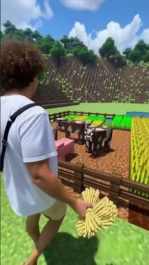 I am inside Minecraft!