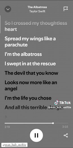 The Albatross by Taylor Swift - Full Song Lyrics