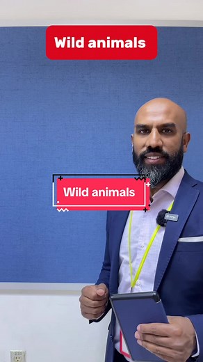 Interesting Facts About Meerkats, Otters, Monkeys, Pandas, Bears, Raccoons, Reindeer, and Wombats