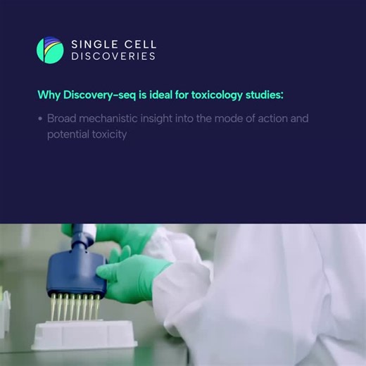 Large-scale toxicology studies often require analyzing hundreds or thousands of conditions, doses, or compounds. Traditional RNA sequencing methods can make this process slow and… | Single Cell Discoveries