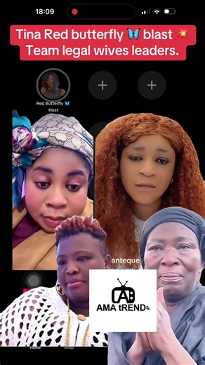 Exploring the Red Butterfly Phenomenon with Tina