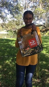 2.4K views | As a faculty/staff member of University of South Florida...