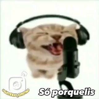 gatinho crente | eu posso cramar? curte, compartilhe e deixe seu comentário ❤ 🍥 #humorcristao #gatinhos #memecristão😎✝️ #jesus #jesuscristo #cristao... | Instagram