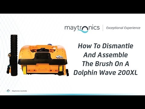 🟡 How to Dismantle and Assemble the Brush on a Dolphin Wave 200XL
