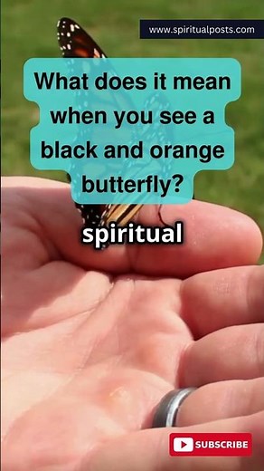 Orange and Black Butterfly Meaning Explained! #shorts #spiritualmeaning #butterfly