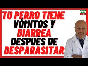 🔴 Vomiting and Diarrhea 🔴 Symptoms and Side Effects After Deworming a Dog 🔴